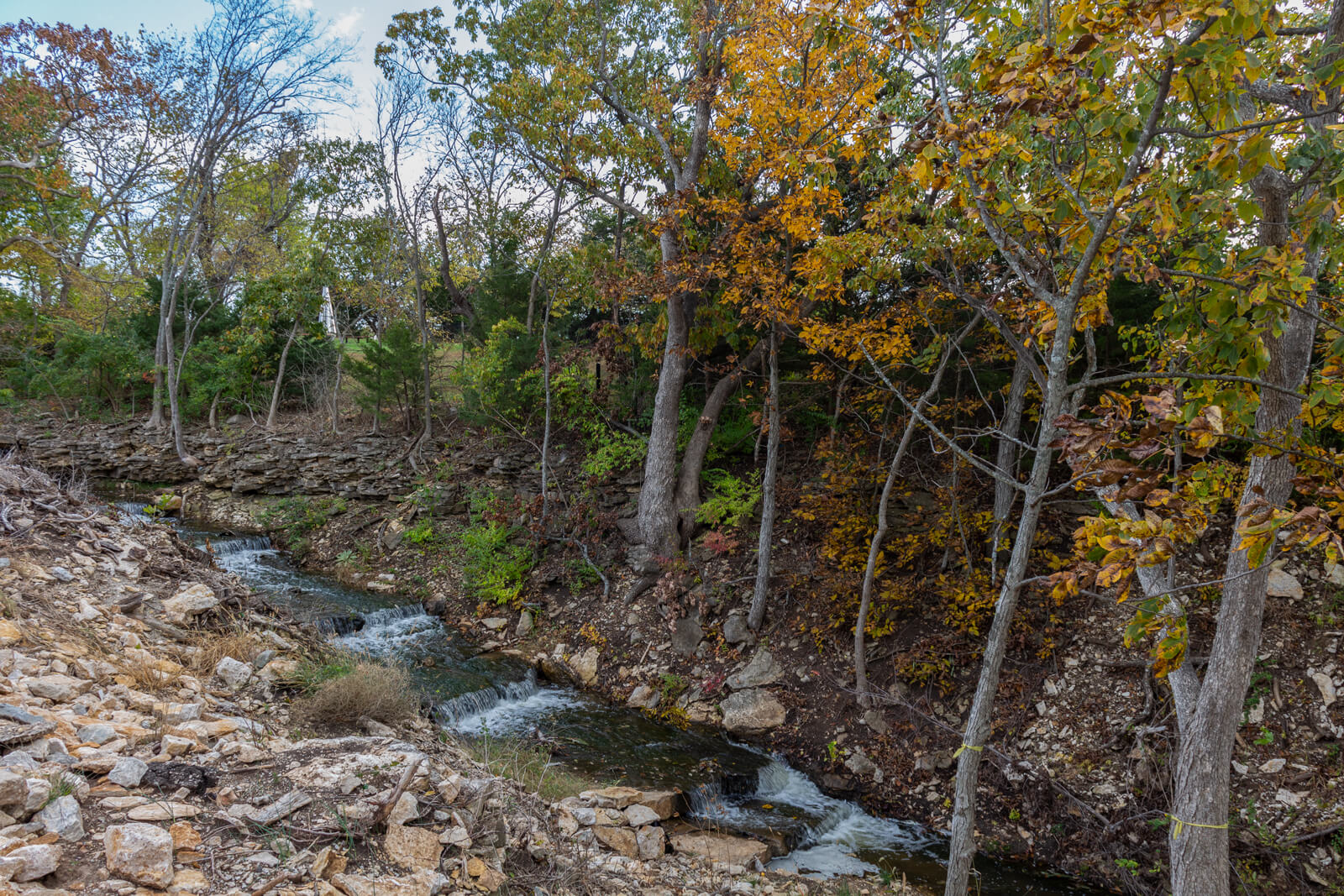 Creek to explore with fall foliage in Olathe.