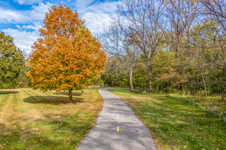 Street and park sales tax renewal going out to Olathe voters