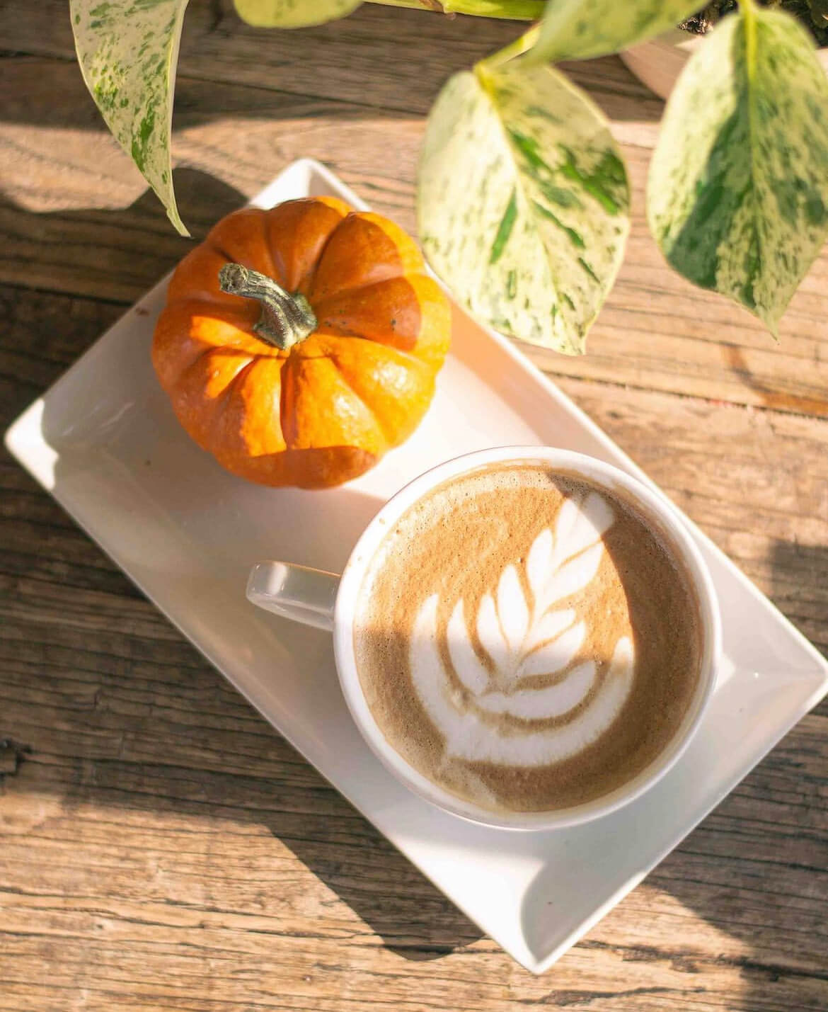 Coffee and pumpkin on table